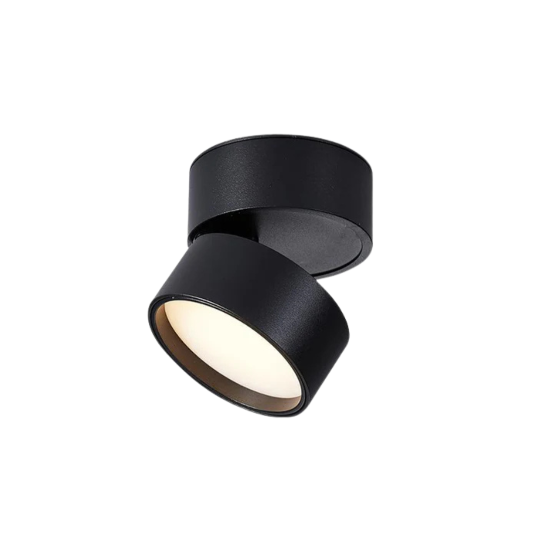 Modern 1-Light LED Adjustable Ceiling Light