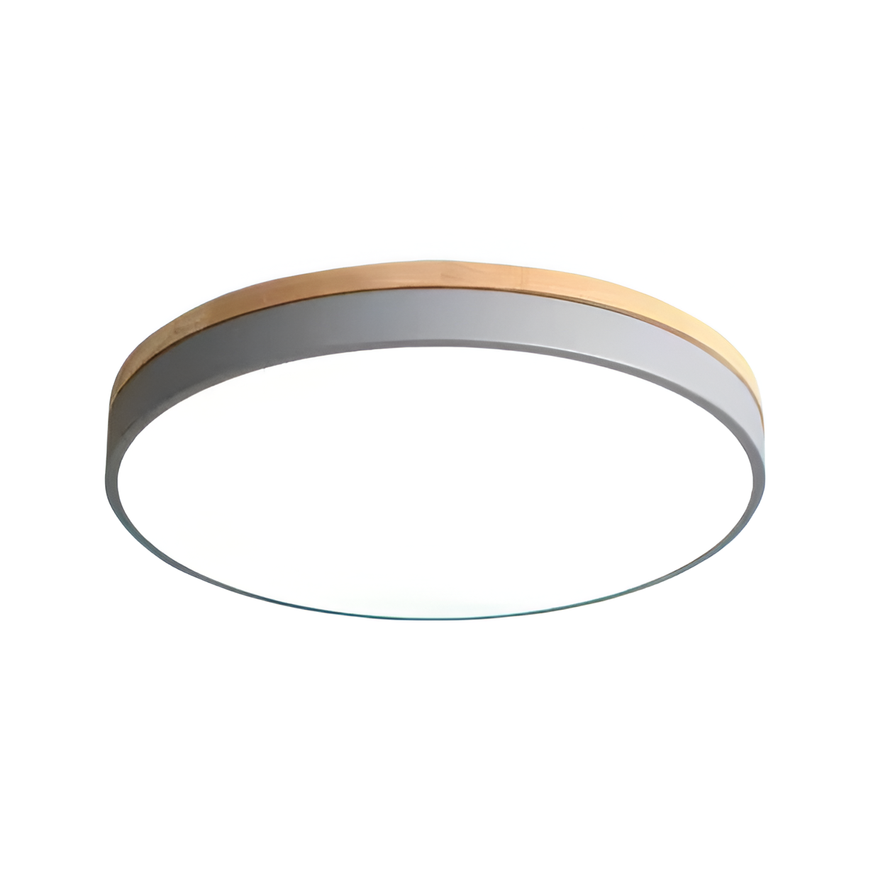 Nordic Scandinavian Minimalist Round LED Ceiling Light