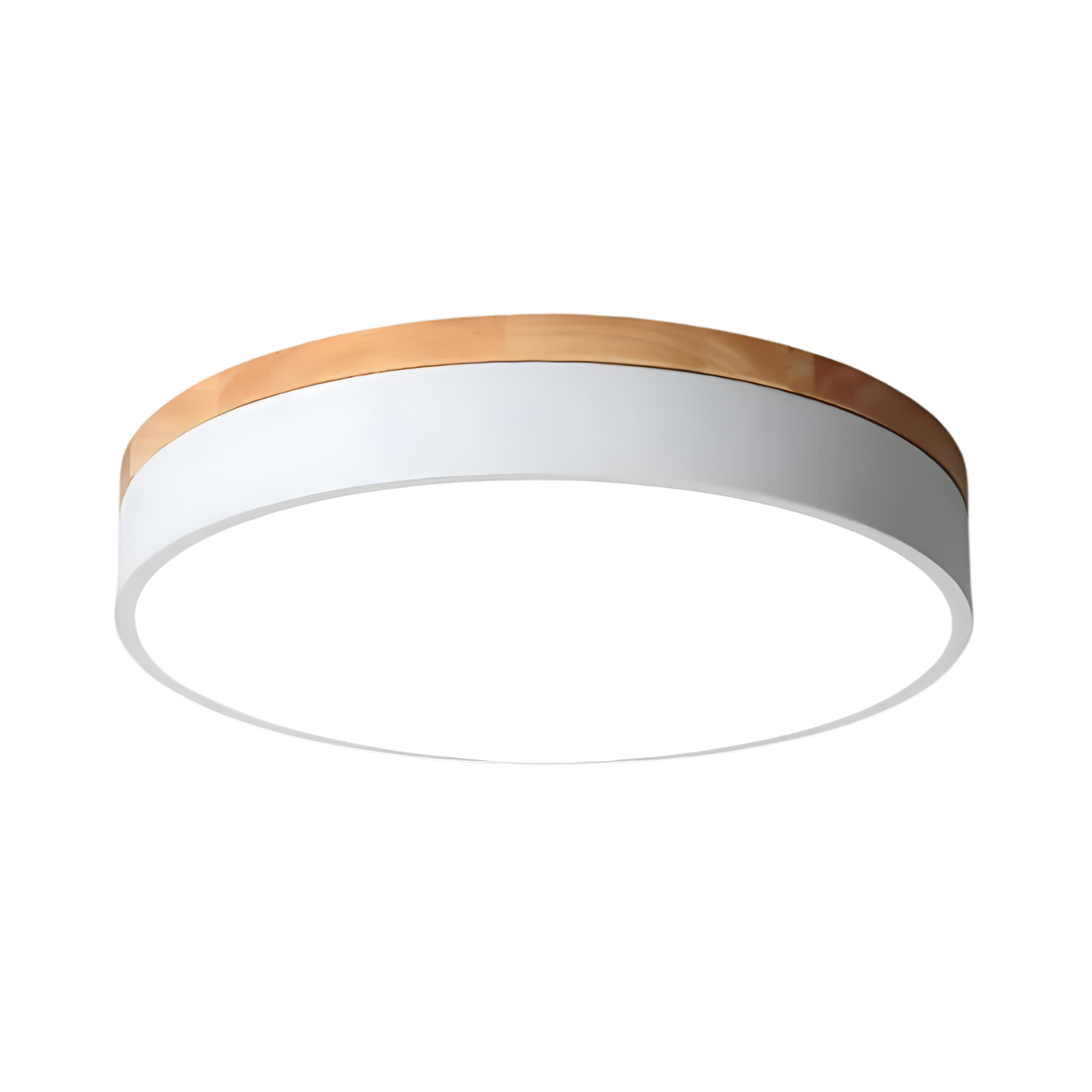 Nordic Scandinavian Minimalist Round LED Ceiling Light